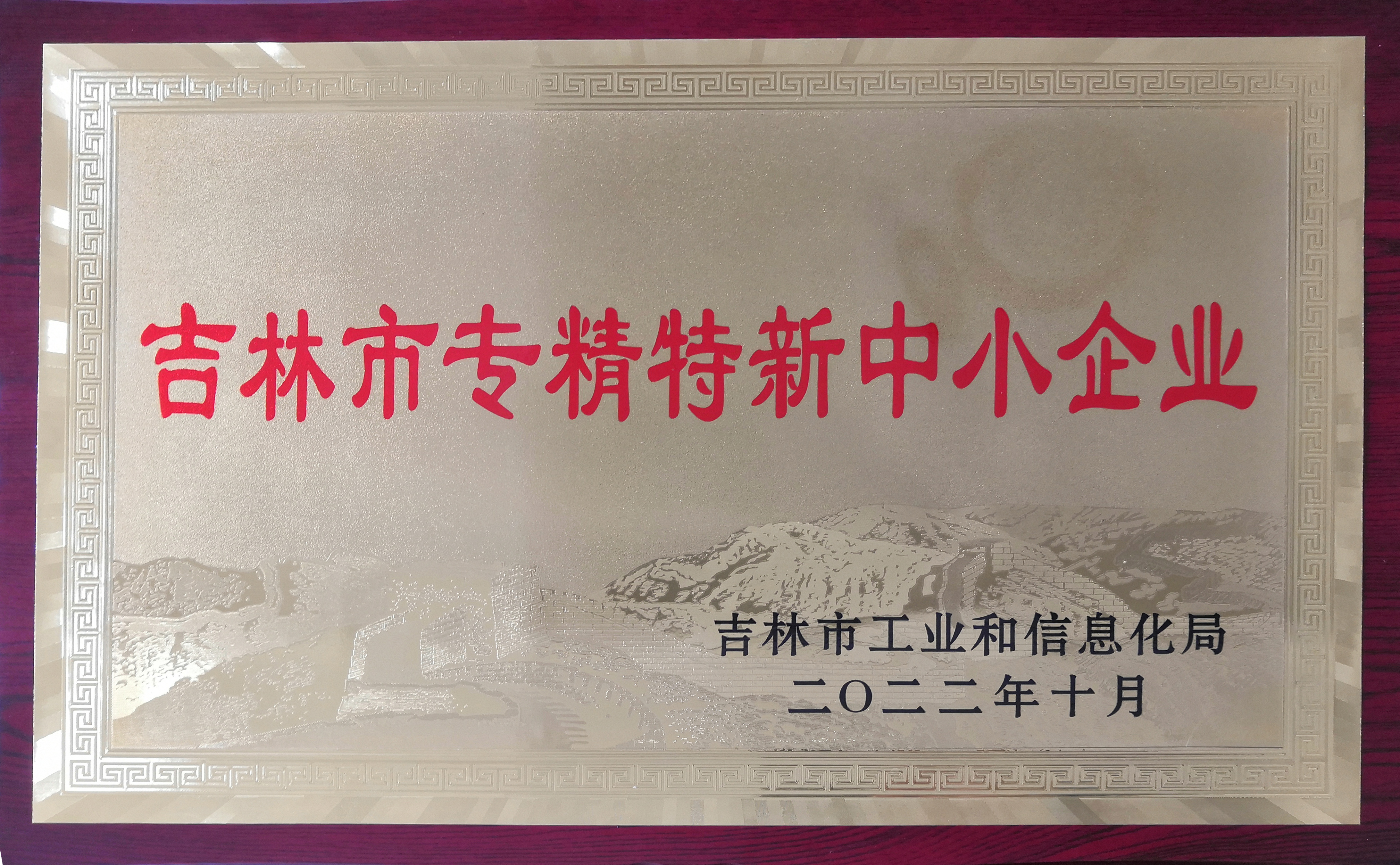 荣获吉林市专精特新中小企业